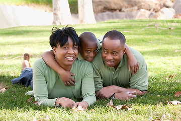 Image showing African American Family in the Park