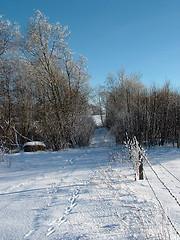 Image showing Farmland In Winter