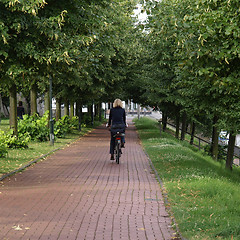 Image showing Bike lane