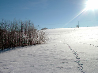 Image showing Winter Story