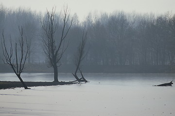 Image showing Winter Landscape