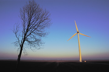 Image showing Wind Turbine and Tree