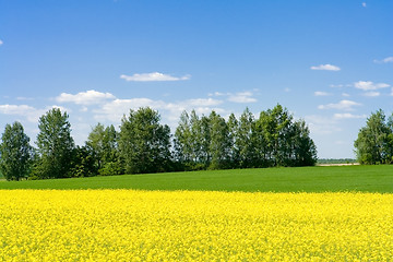 Image showing spring landscape