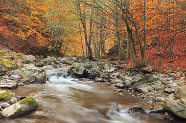 Image showing Autumn river