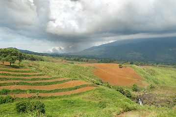 Image showing Tropical agriculture landscape