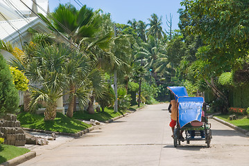 Image showing Tropical suburb with tricycle