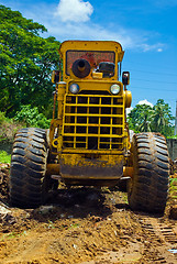 Image showing Tropical earthmover