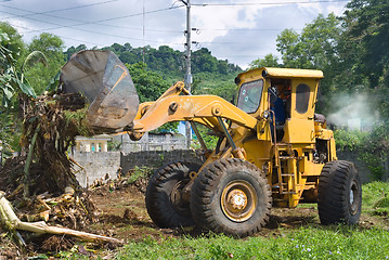 Image showing Bulldozer clearing bush