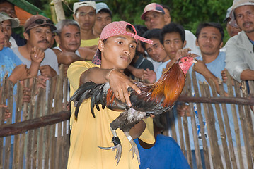 Image showing Filipino cock fighter