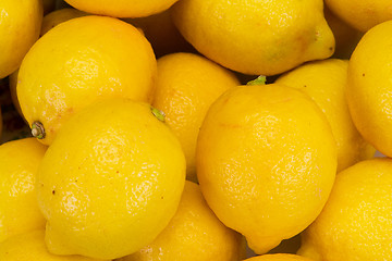 Image showing  lemon