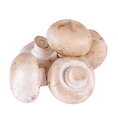 Image showing mushrooms