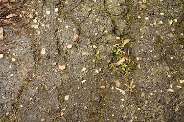 Image showing old asphalt