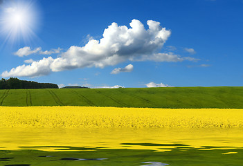 Image showing spring landscape