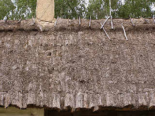 Image showing Straw roof texture