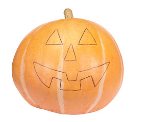 Image showing pumpkin