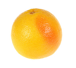 Image showing  orange