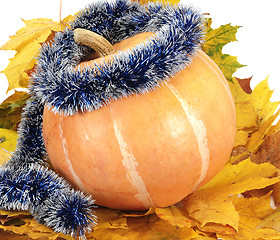 Image showing pumpkin on leaf