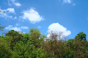 Image showing spring sky 