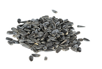 Image showing  seed of the sunflower