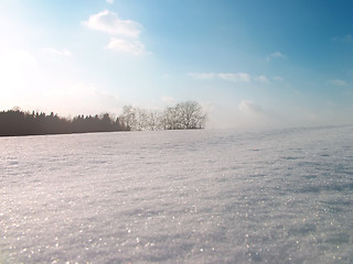 Image showing Winter Hill