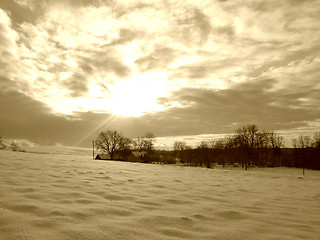 Image showing Winter field