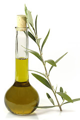 Image showing Olive oil with olive branch