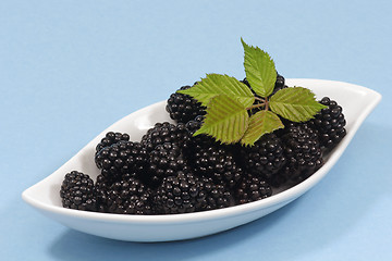 Image showing Blackberries