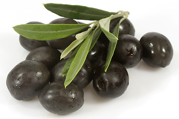 Image showing Black olives with olive branch