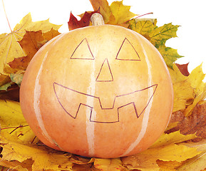 Image showing halloween