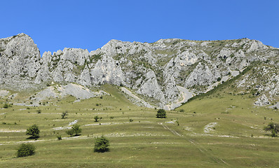 Image showing Trascau Mountains