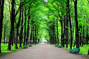 Image showing Green park