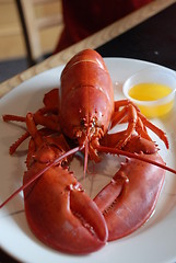 Image showing Red Lobster