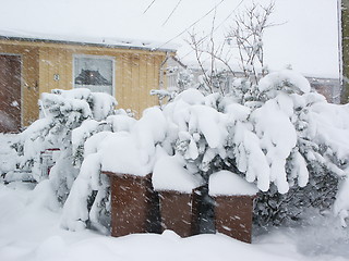 Image showing Snowy weather