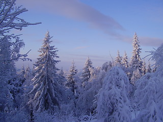 Image showing Wintertime on Tryvannstårnet / Holmenkollen / Oslo