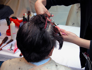 Image showing Hairdresser