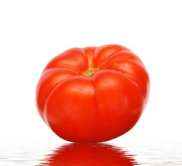 Image showing tomato