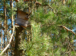 Image showing birdhouse