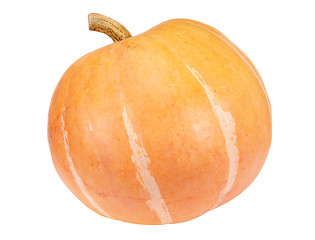 Image showing Pumpkin