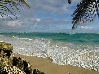 Image showing tropical beach