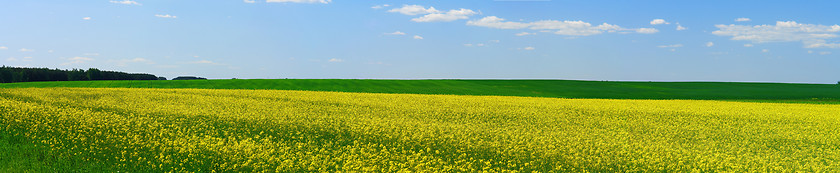 Image showing spring landscape