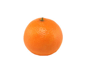 Image showing Single tangerine