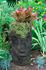 Image showing Unique pot planter.