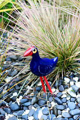 Image showing NZ bird