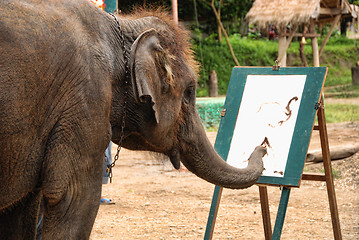 Image showing Elephant Show, Changmai, Thailand