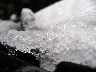 Image showing Ice Shapes after a rare Snowfall in Pisa, Italy