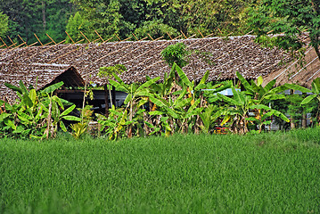 Image showing Changmai, Thailand