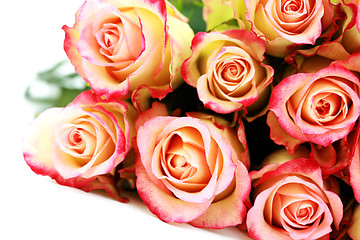 Image showing bunch of roses