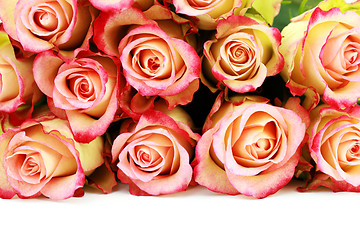 Image showing bunch of roses