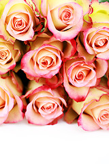 Image showing lots of roses