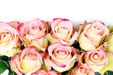 Image showing bunch of roses